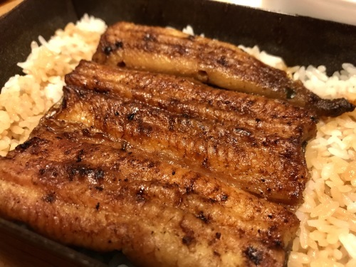 鰻屋『魚政』に感謝_f0061797_17195621.jpg