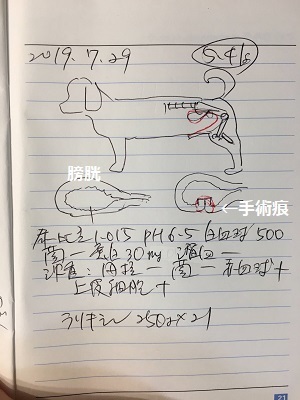 王子の病院デーと「ごん活」w_f0372998_20522801.jpg