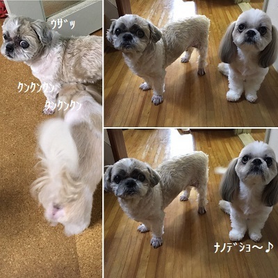 王子の病院デーと「ごん活」w_f0372998_20523907.jpg