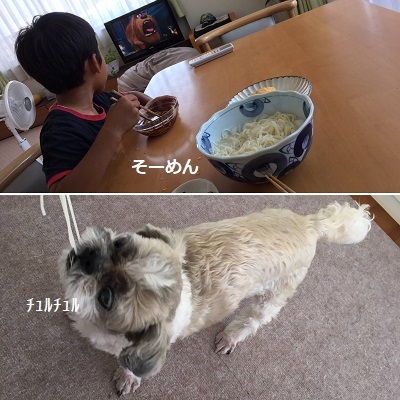 王子の病院デーと「ごん活」w_f0372998_20525387.jpg