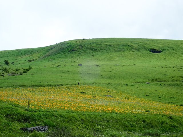 車山肩から八島湿原へ（中央分水嶺トレイル第4回）・・・　　２０１９，７，２８_b0066502_10442980.jpg