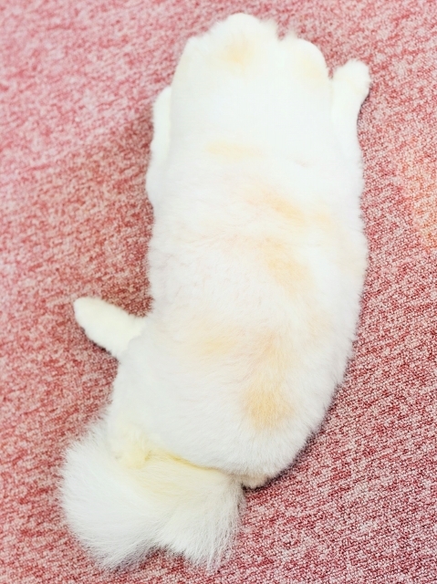 わたしからもありがとう_d0360206_00075470.jpg