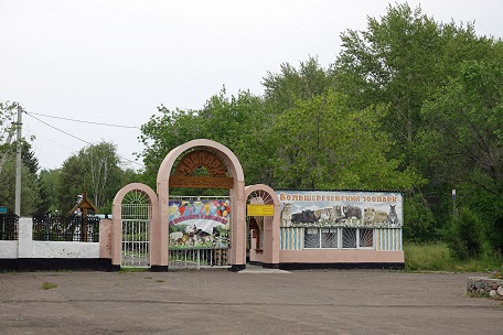 ボリシェリェーチェ動物園で慎み深きホッキョクグマ、グーリャ (Гуля) との素晴らしき再会_a0151913_0145723.jpg