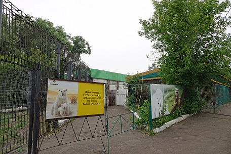 ボリシェリェーチェ動物園で慎み深きホッキョクグマ、グーリャ (Гуля) との素晴らしき再会_a0151913_027391.jpg
