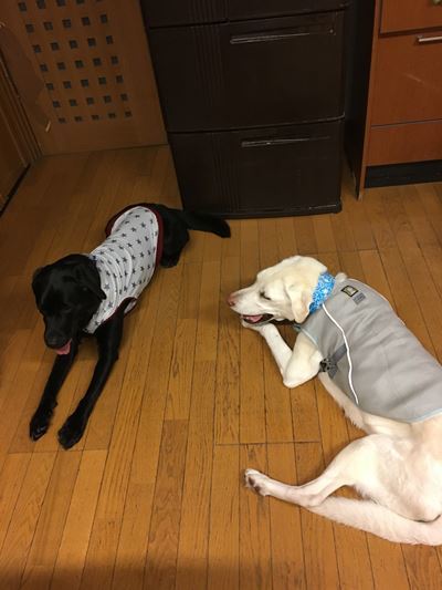 c0114121_00544996.jpg