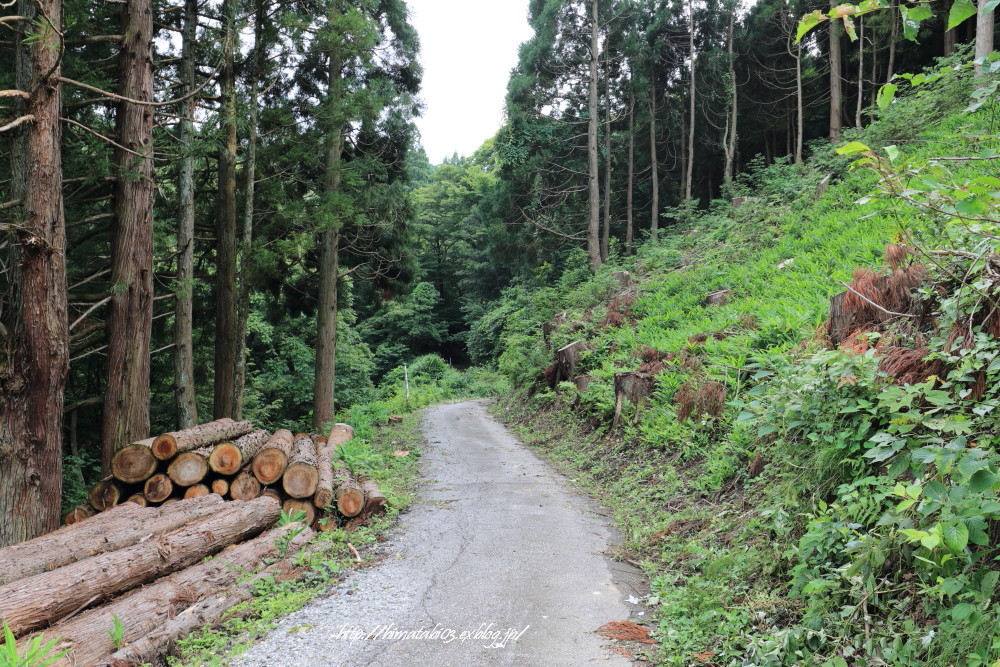 特攻、池原隧道　Ⅳ　～第3隧道は優しくもなく～ _c0299025_20031230.jpg