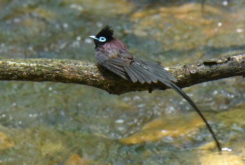 f0206939_22301850.jpg