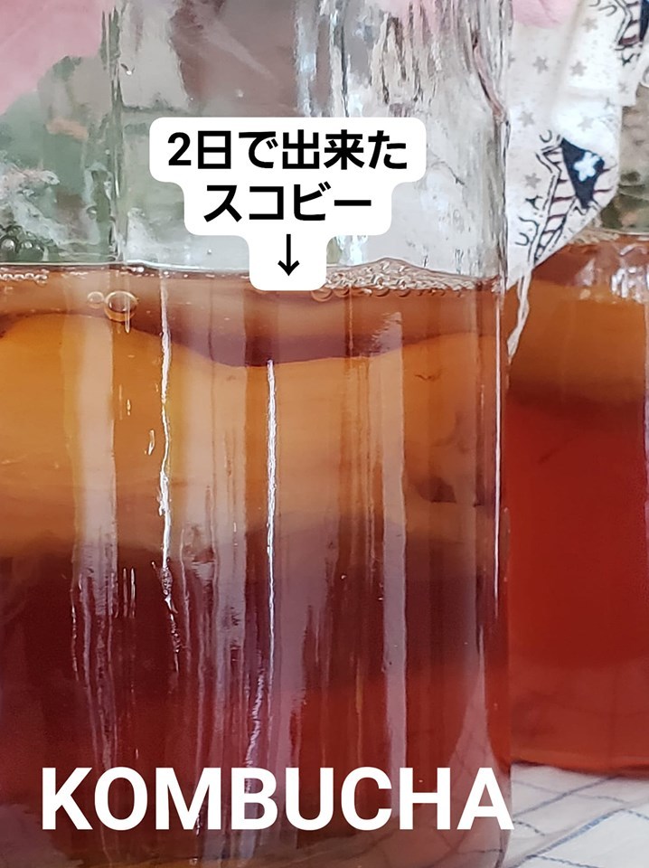 コンブチャの発酵が激しい Masumiの美味しい楽しい美しい コンブチャの発酵が激しい Masumiの美味しい楽しい美しい