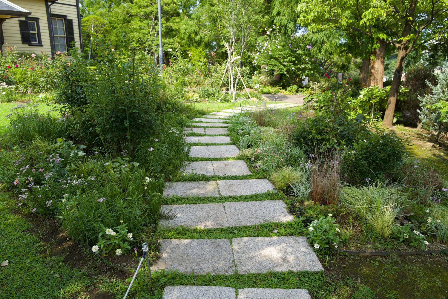 b0212342_16533931.jpg