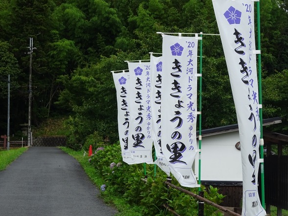 亀岡ききょうの里・谷性寺_b0299042_14353152.jpg