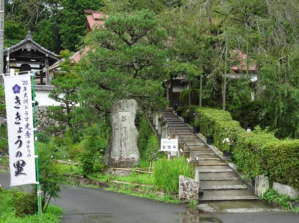 亀岡ききょうの里・谷性寺_b0299042_14354878.jpg