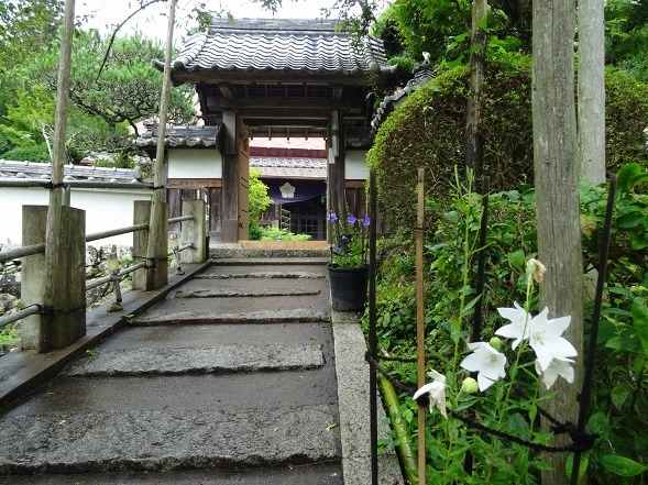 亀岡ききょうの里・谷性寺_b0299042_14355405.jpg