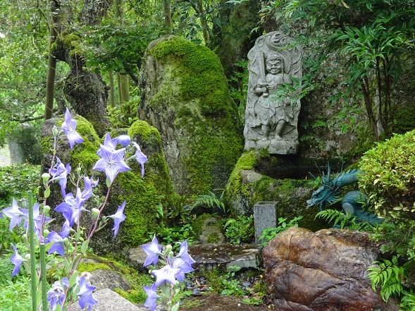 亀岡ききょうの里・谷性寺_b0299042_14361094.jpg