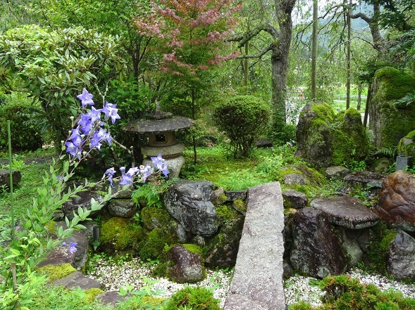 亀岡ききょうの里・谷性寺_b0299042_14361845.jpg