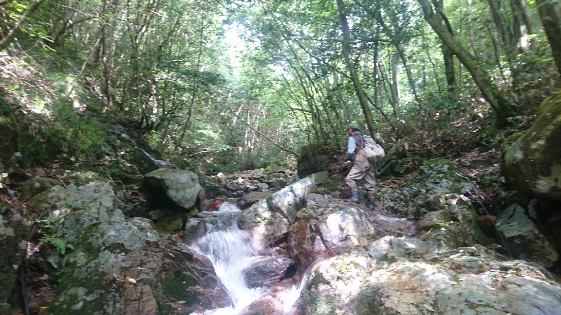 a0201743_19373559.jpg