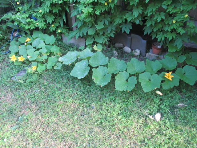 e0082045_20160220.jpg