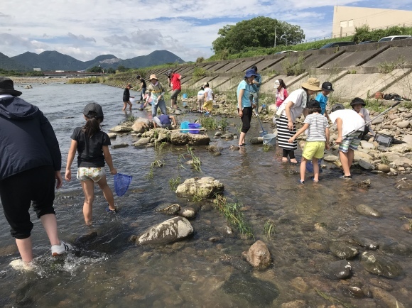 水生生物観察会 宇佐 In駅館川 くみかつブログ 水生生物観察会 宇佐 In駅館川 くみかつブログ