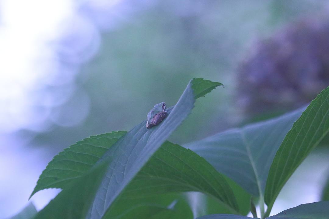 e0403850_16325841.jpg