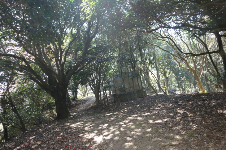 d0345153_16375905.jpg