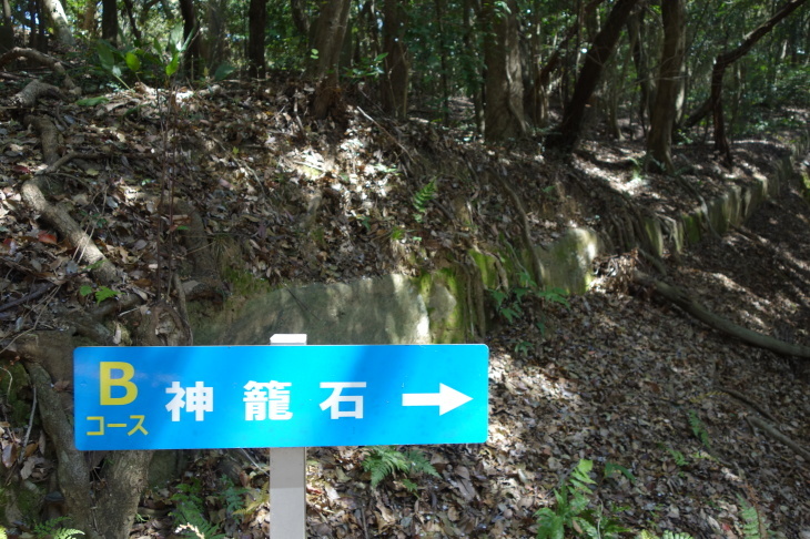 d0345153_16424847.jpg
