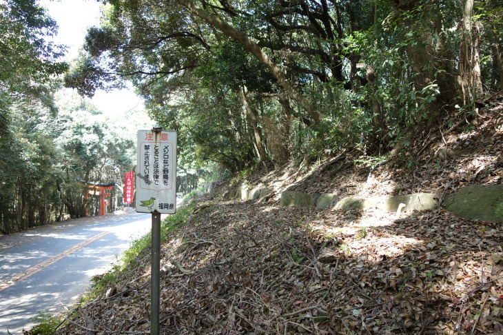 d0345153_16433093.jpg