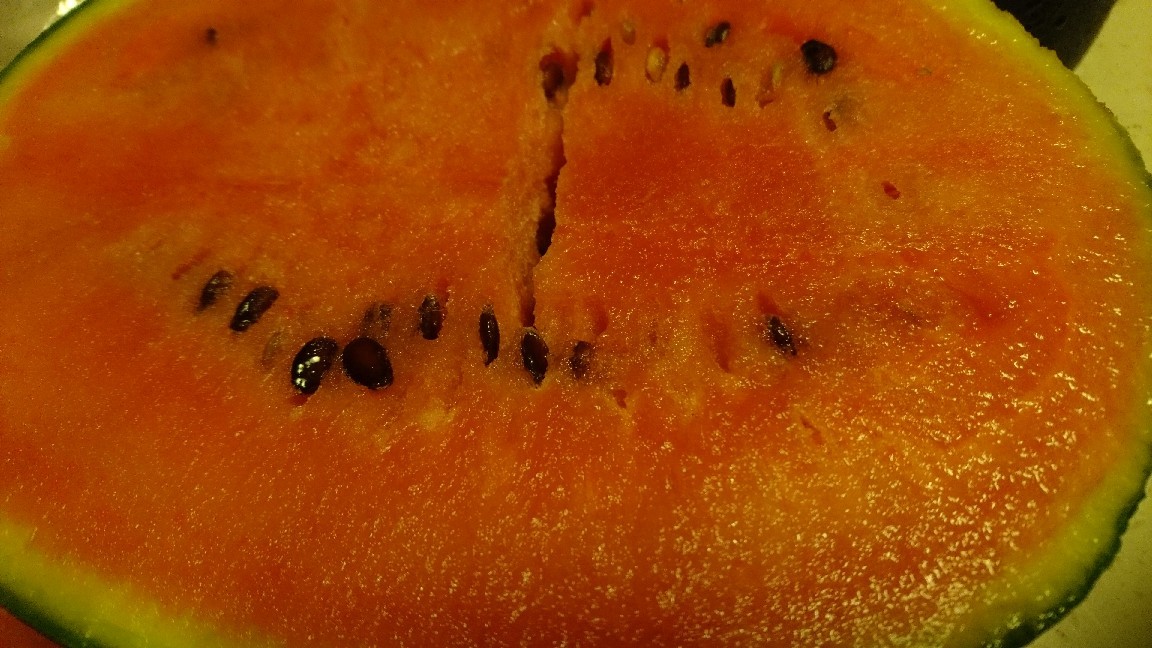 a0208560_09570153.jpg