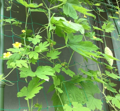 a0053063_18024326.jpeg