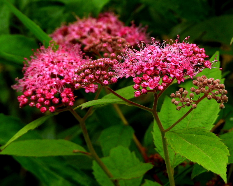c0305565_17373980.jpg