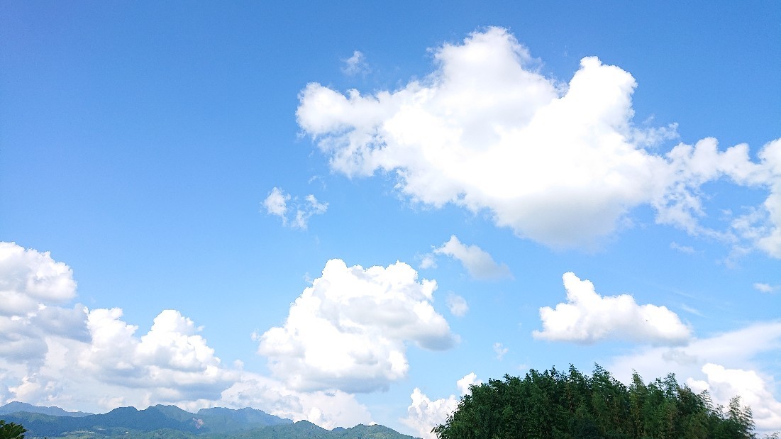 一回一回 死ぬ、ということ***_e0290872_21174701.jpg