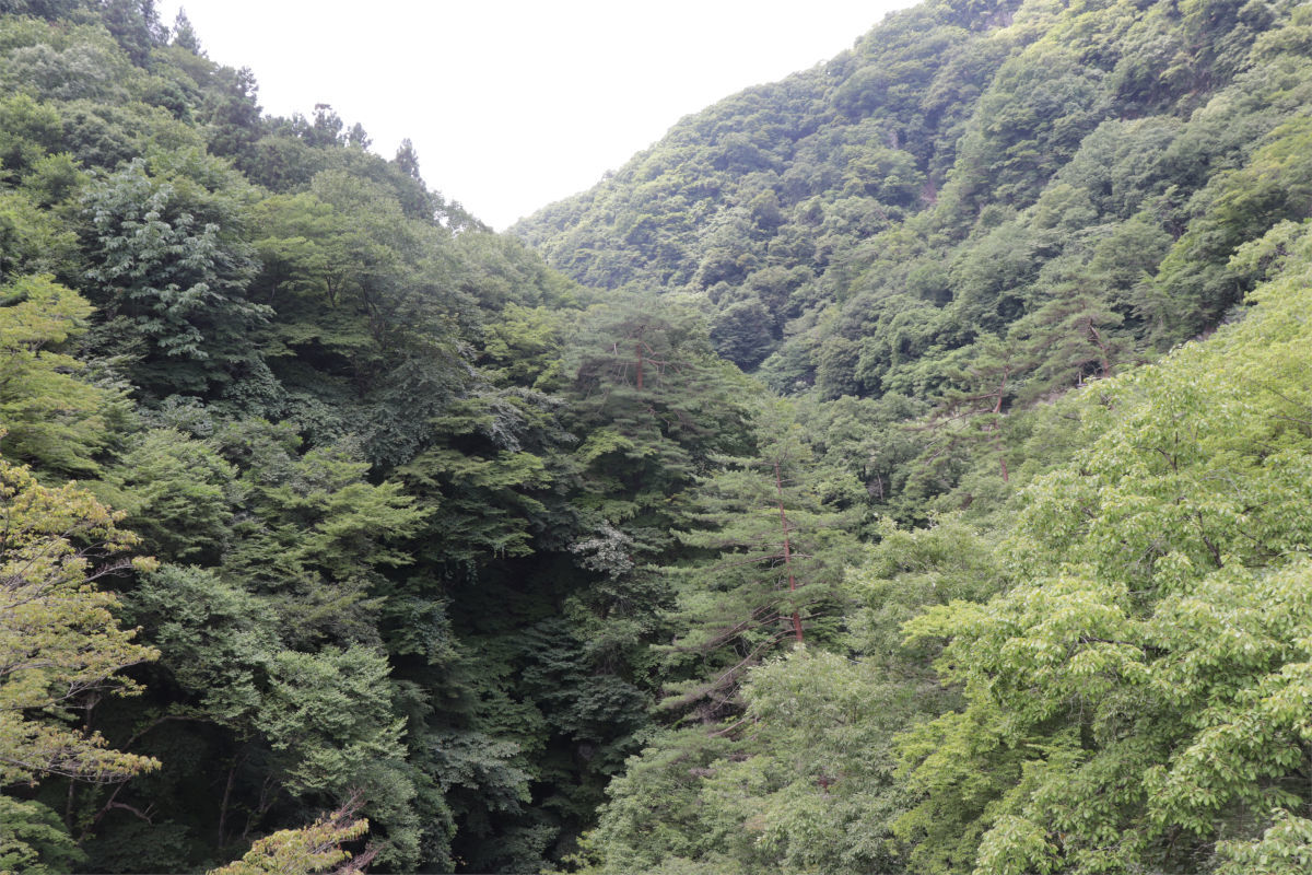 a0332275_15544226.jpg