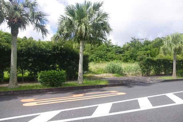 八丈島不動産物件 (土地・建物)_f0095585_05063459.jpg