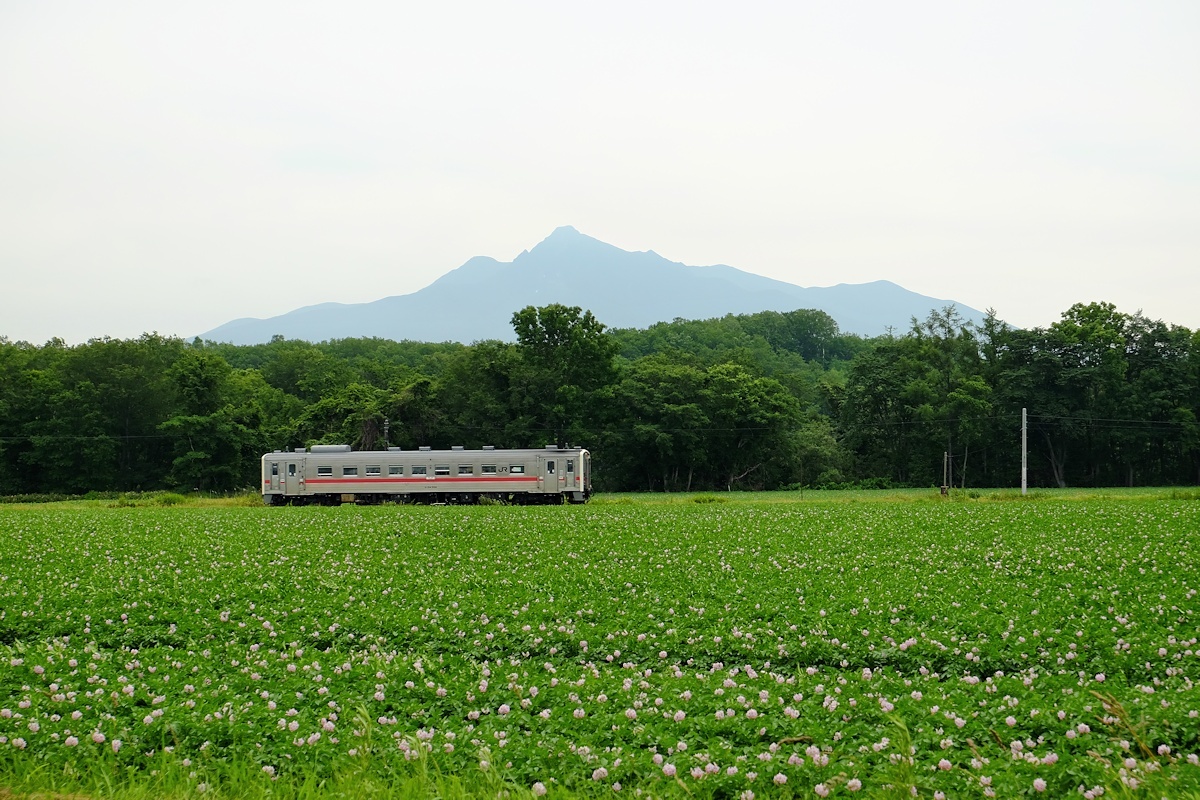 じゃがいも畑と斜里岳と_e0051186_09182957.jpg