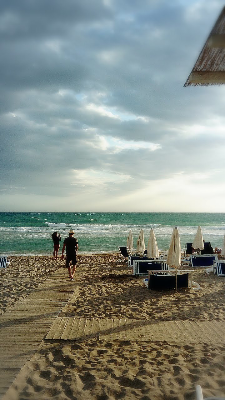 サレントの夏の常食 フリーザ My Little Lecce サレントの夏の常食 フリーザ My Little Lecce
