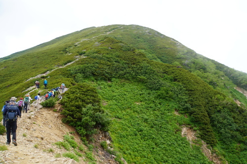 b0061798_20154313.jpg