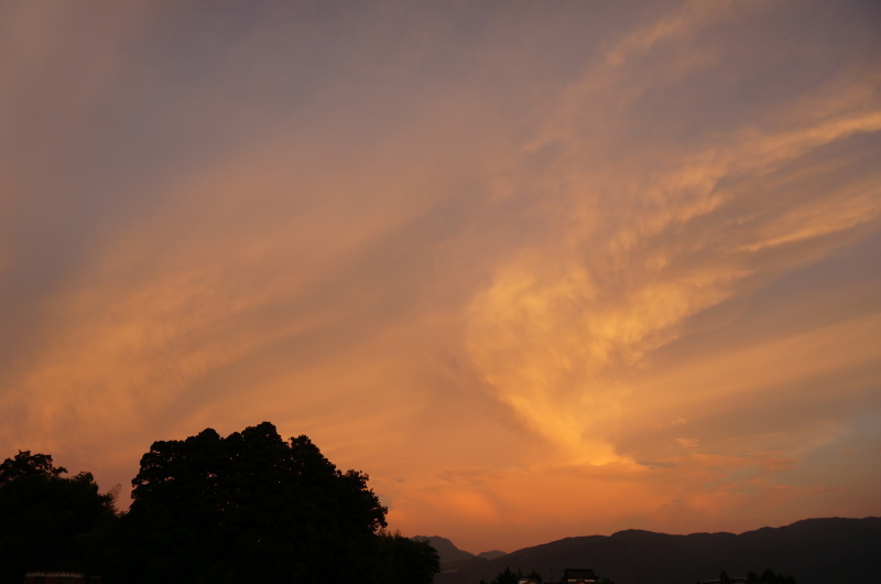 d0359010_00225500.jpg