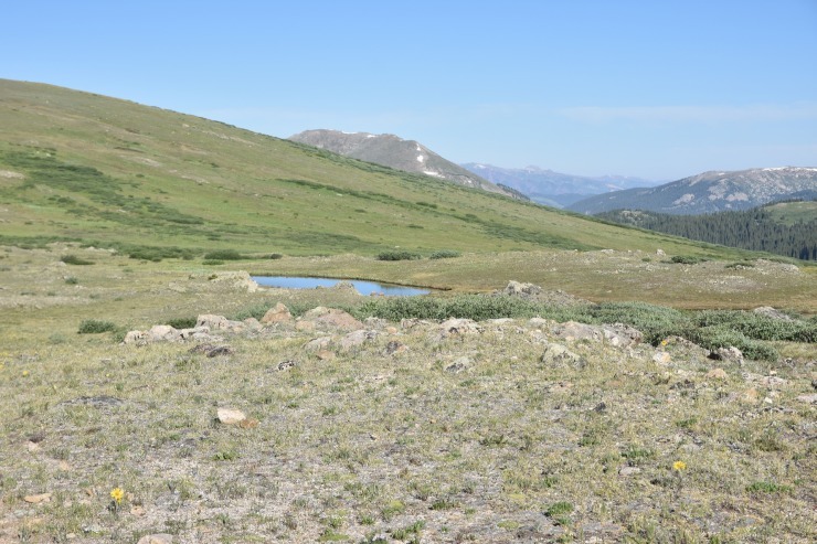 b0021211_13563214.jpg