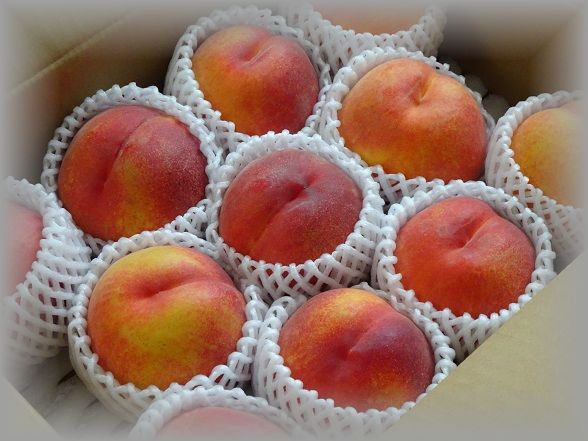 今年もワッサーの季節がやってきた ほのぼのはうす 今年もワッサーの季節がやってきた ほのぼのはうす