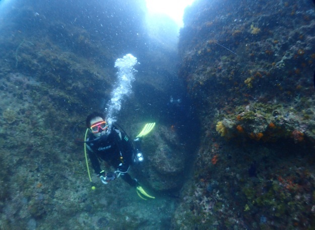 c0115421_20252897.jpg