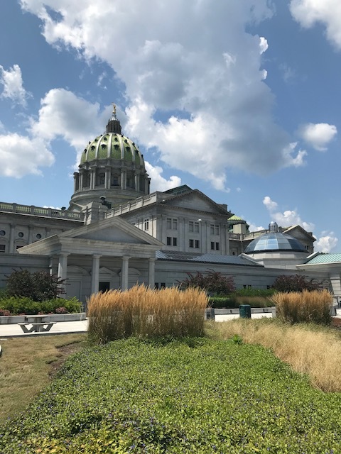 d0269832_03202940.jpeg