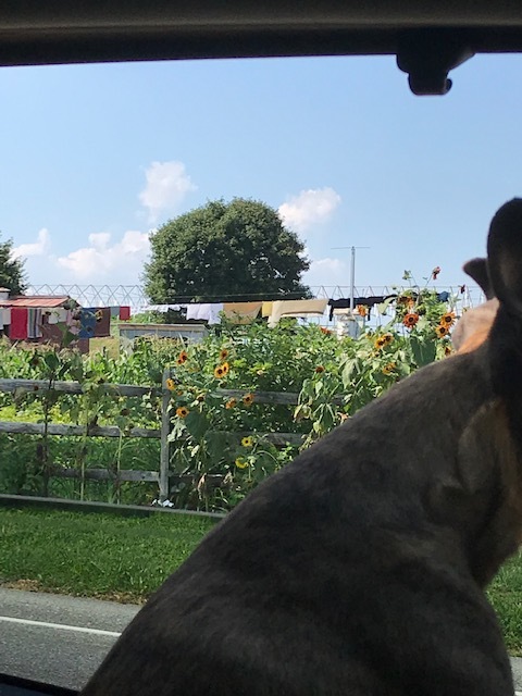d0269832_03225072.jpeg