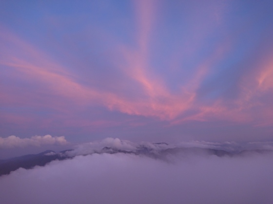 f0118332_20222647.jpg