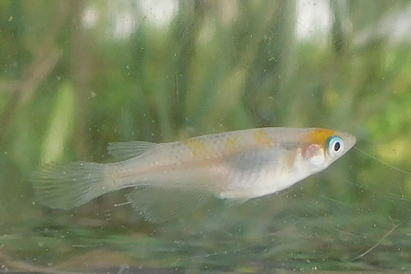 e0097534_18014890.jpg