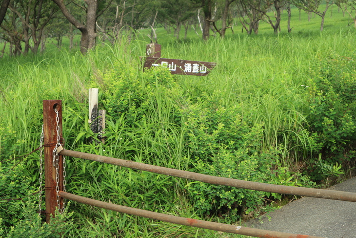 一目山＆みそこぶし山&涌蓋山に登る！_e0272335_1848074.jpg