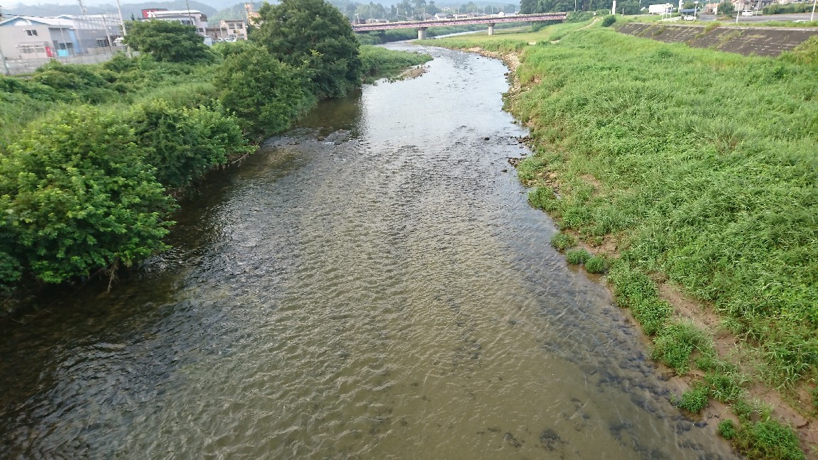 7月31日 午前6時現在 晴..._c0266737_06294799.jpg