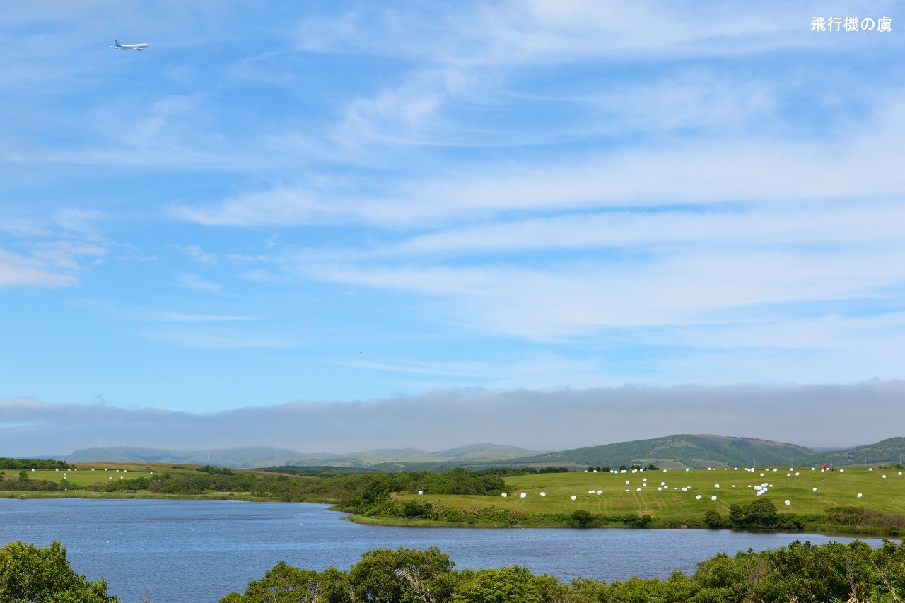 b0313338_23093522.jpg
