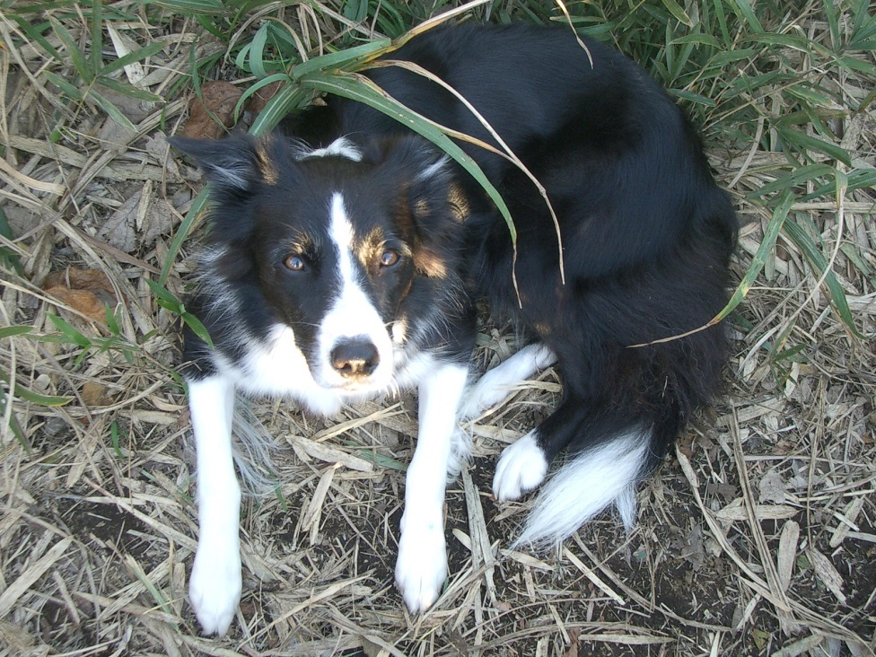 e0128144_04584000.jpg