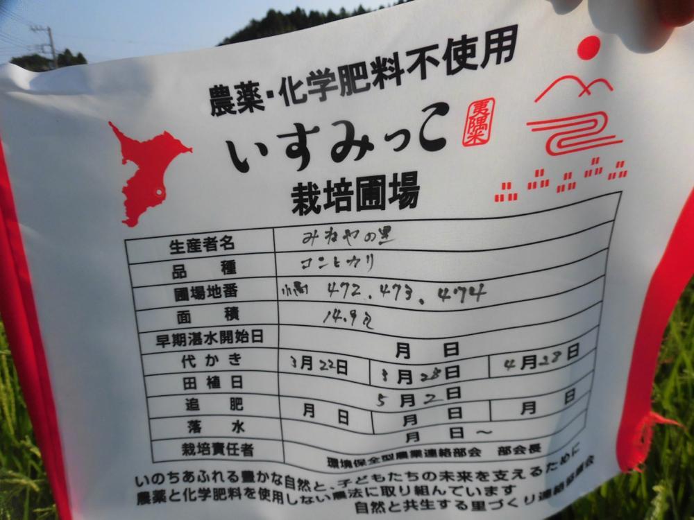 田んぼあれこれ_e0024554_21235507.jpg