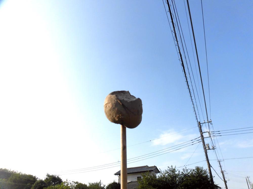 田んぼあれこれ_e0024554_21235544.jpg