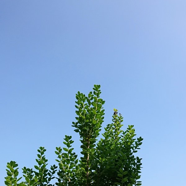 e0354456_13021995.jpg