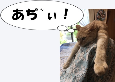 日本一の暑かった町の隣でスマホの勉強_a0331562_16270368.jpg